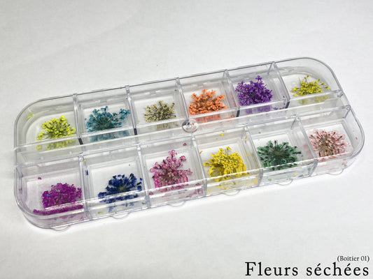 Fleurs séchées