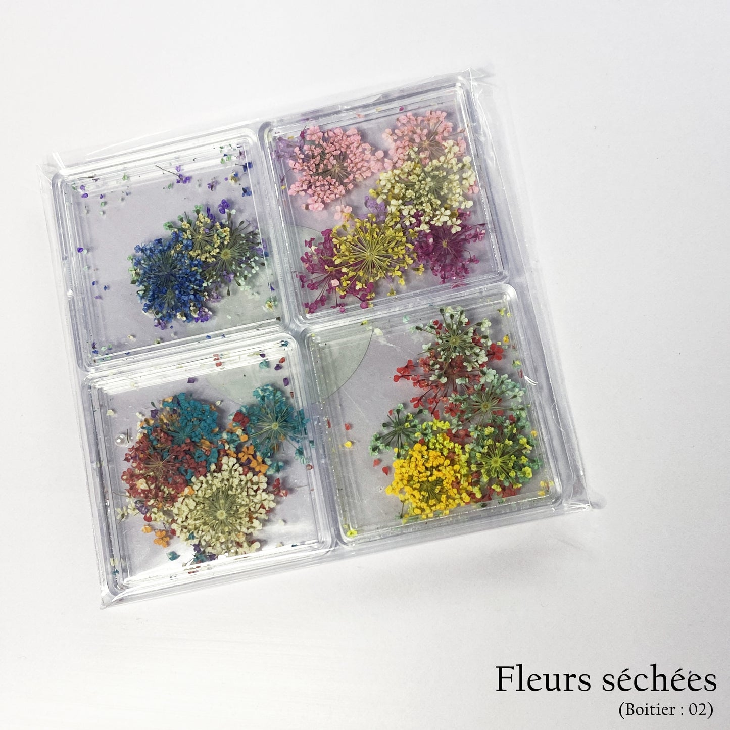 Fleurs séchées