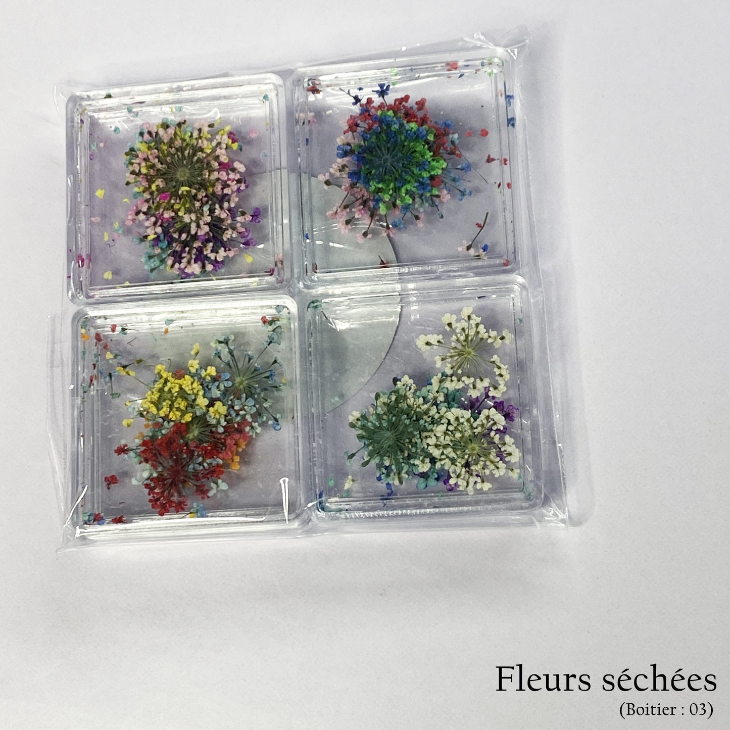 Fleurs séchées