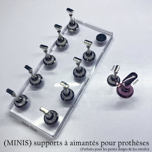 Minis Supports aimantés pour prothèses