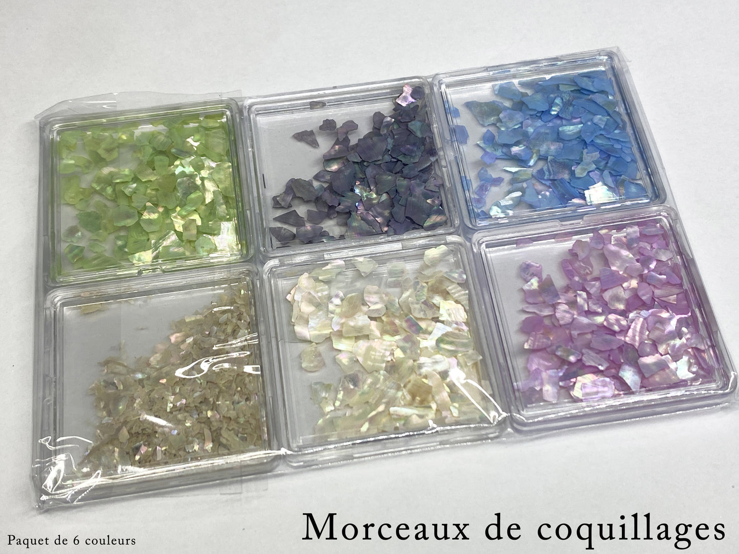Morceaux de Coquillages