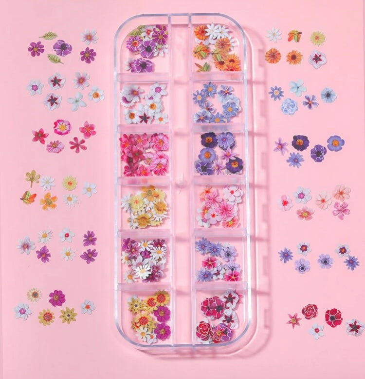 Paillettes cartonnées