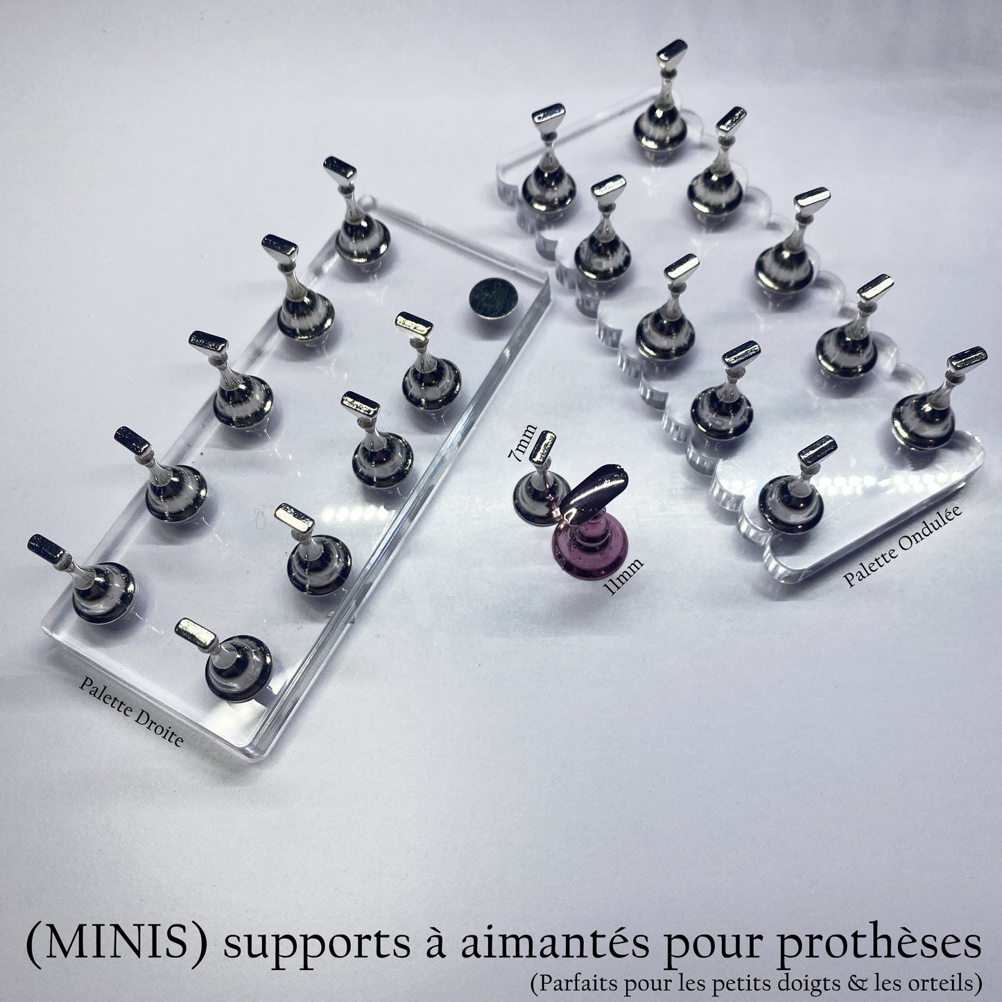 Minis Supports aimantés pour prothèses