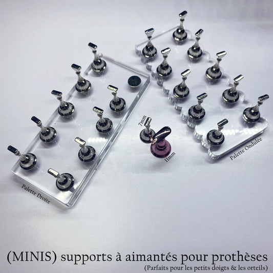 Minis Supports aimantés pour prothèses