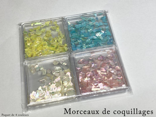 Morceaux de Coquillages