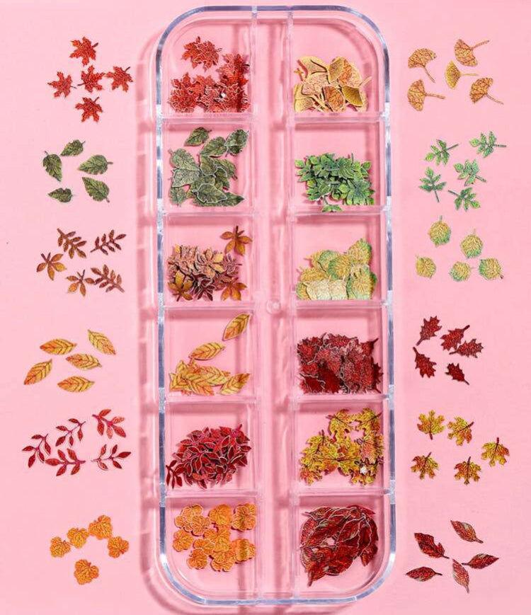 Paillettes cartonnées