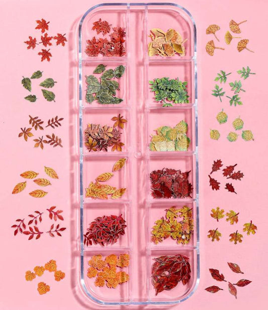Paillettes cartonnées