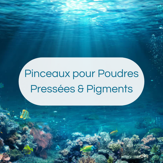 Pinceaux pour Poudres Pressées & Pigments