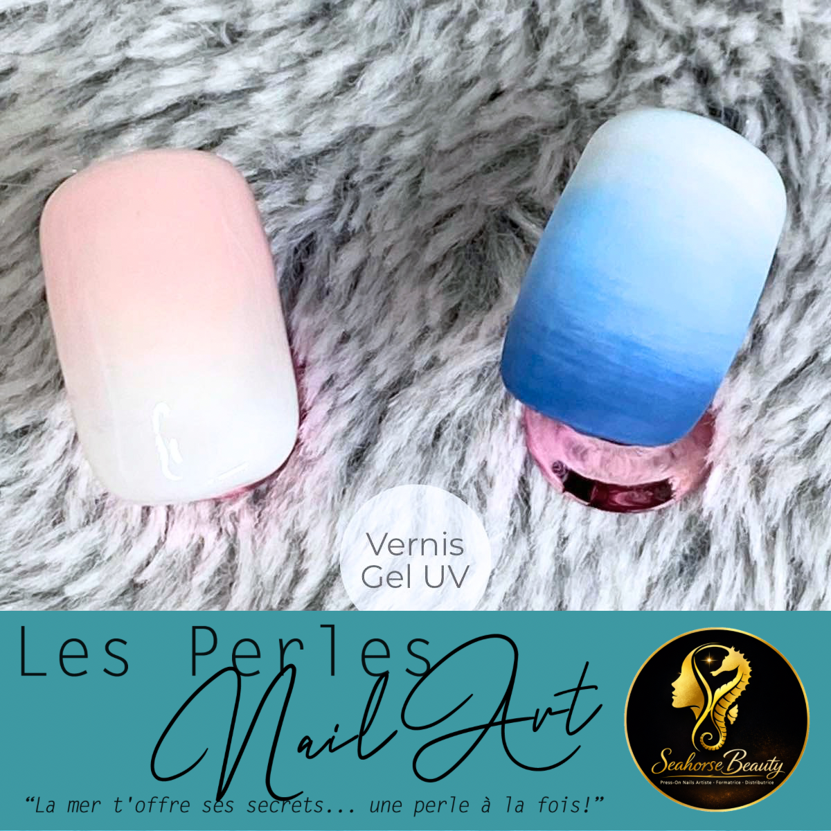 02. Les Dégradés Maîtrisés