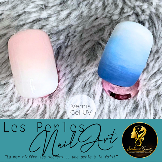 02. Les Dégradés Maîtrisés